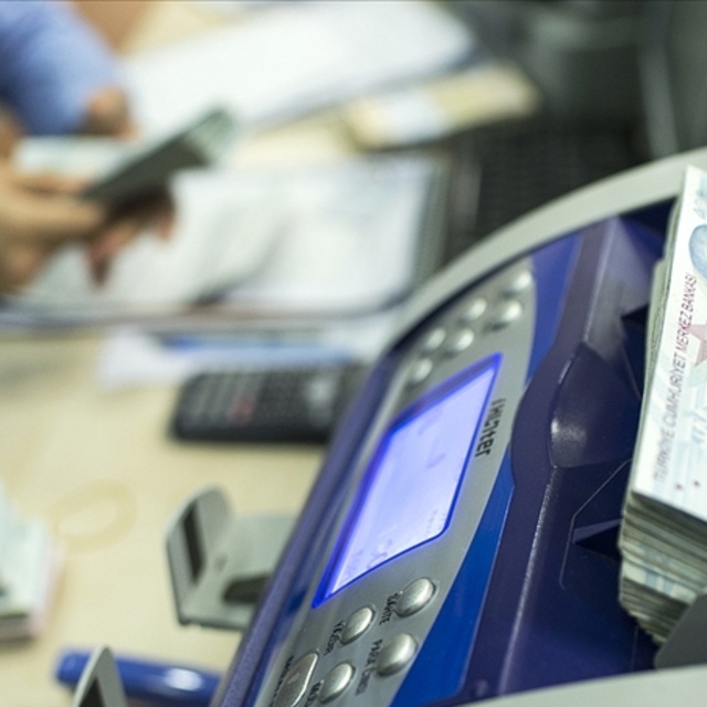 TVF'den kamu bankalarına 51.5 milyar TL destek