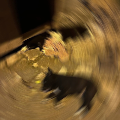 İddia kan dondurdu! Çok sayıda köpeği zehirlediler