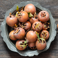 Muşmulanın faydaları