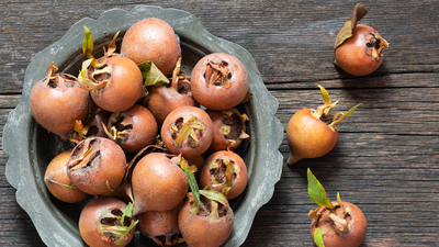 Muşmulanın faydaları