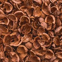 Ceviz kabuğunun faydaları