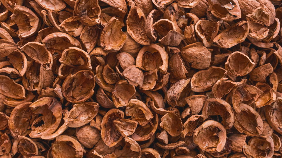 Ceviz kabuğunun faydaları