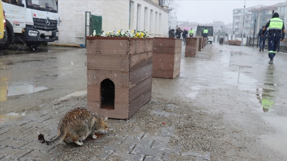 Geri dönüştürülen köprü malzemeleri bakın ne oldu!