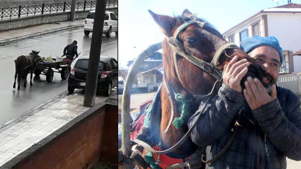 İzleyenlerin gözünü yaşartmıştı, o attan haber var!