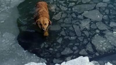 Mahsur kaldı! Ekipler harekete geçti