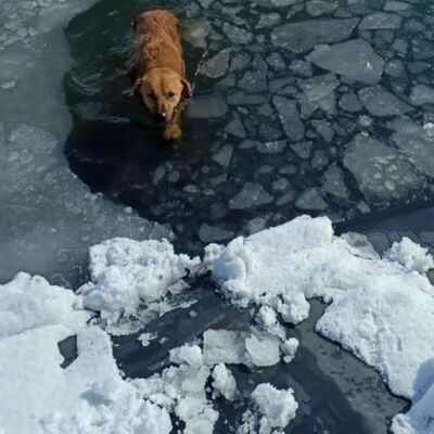 Mahsur kaldı! Ekipler harekete geçti