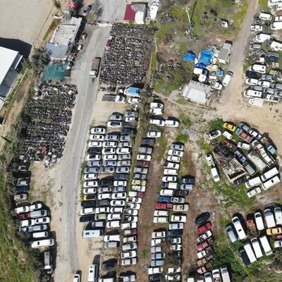 Terk edildiler! 100 milyon çürüyor