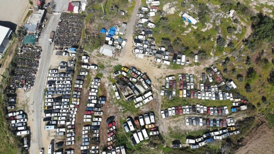 Terk edildiler! 100 milyon çürüyor