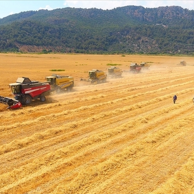 Tarım ÜFE'de şubat rekoru