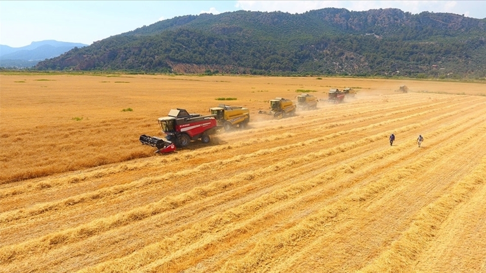 Tarım ÜFE'de şubat rekoru