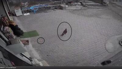 Cips paketini alıp kaçma anı kamerada!