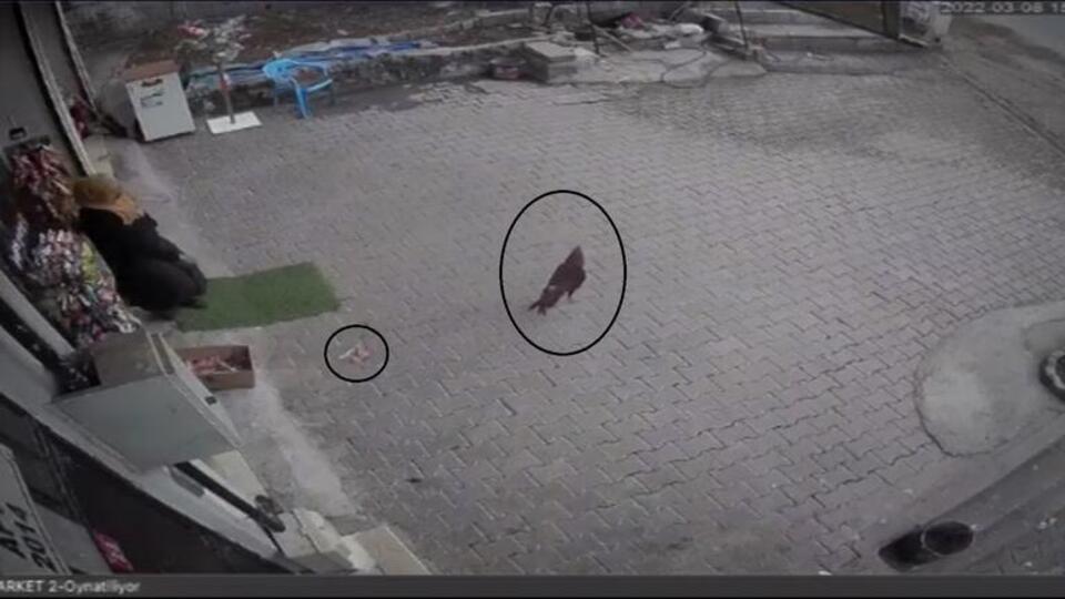 Cips paketini alıp kaçma anı kamerada!