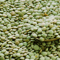 Yeşil mercimeğin faydaları