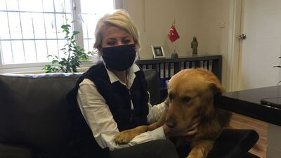 Kar yağışında sığındığı karakol yeni yuvası oldu