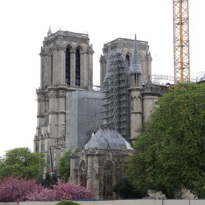 Notre Dame restorasyonunda heyecanlandıran keşif