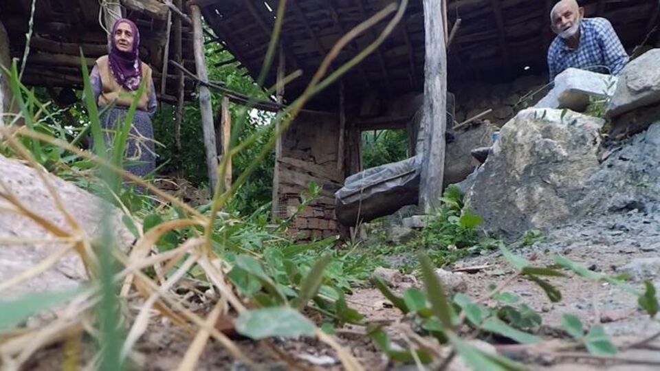 Bahçelerinde görünce şaşkına döndüler