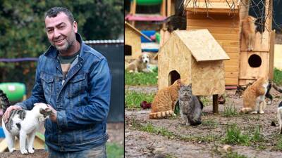 Sokak hayvanları derneği başkanına hapis cezası!
