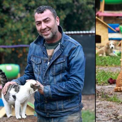 Sokak hayvanları derneği başkanına hapis cezası!