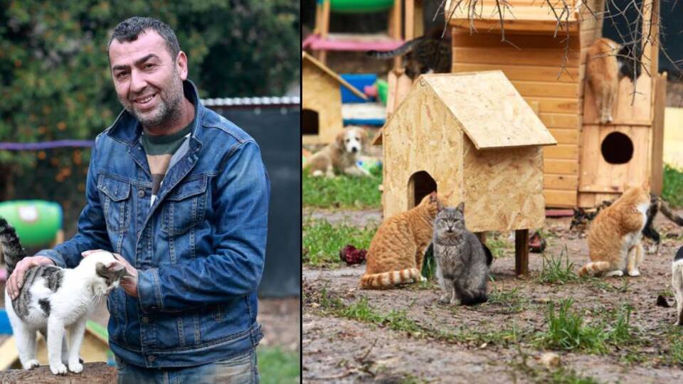 Sokak hayvanları derneği başkanına hapis cezası!