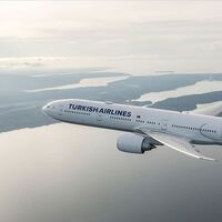 THY, 100 seferini iptal etti