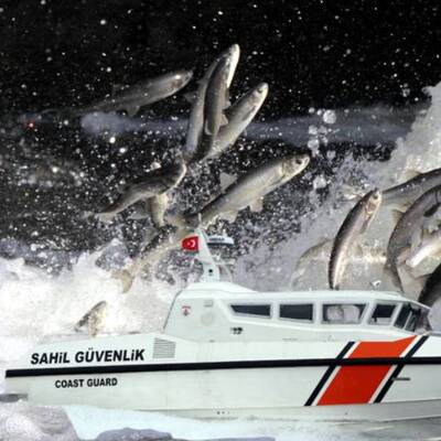 Van Gölü'nde bir ilk: Artık onlar da koruyacak