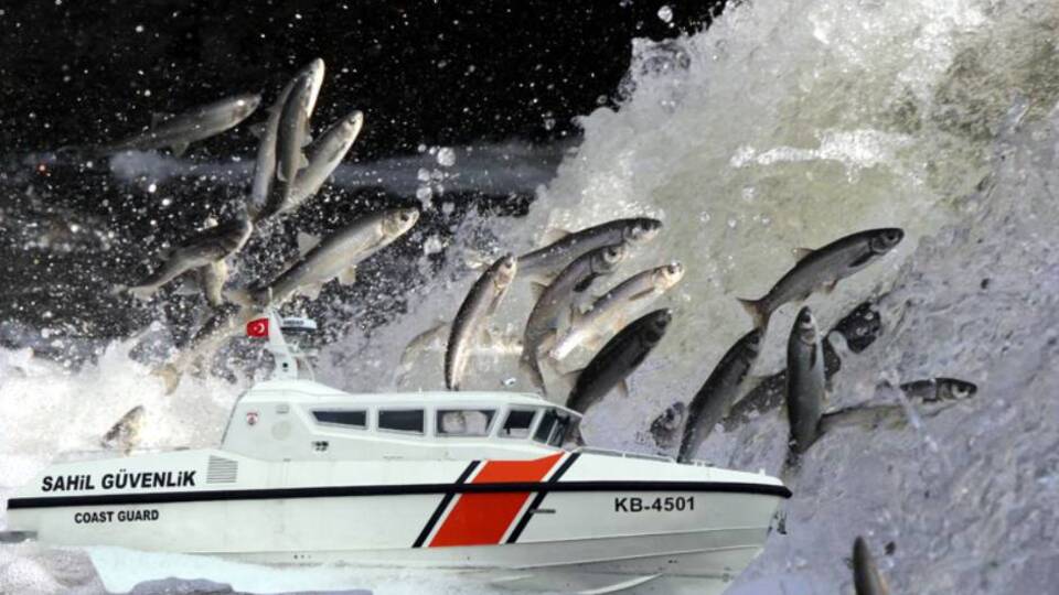 Van Gölü'nde bir ilk: Artık onlar da koruyacak