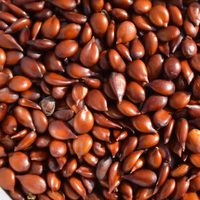 Ayva çekirdeğinin mucizevi faydaları