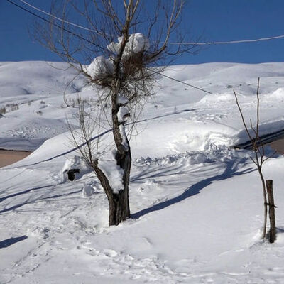 Muş'ta bir köy kar altında kaldı