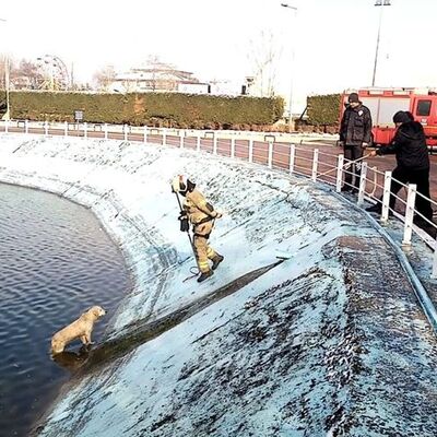 Yürekleri ısıtan görüntü...