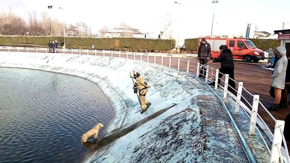 Yürekleri ısıtan görüntü...