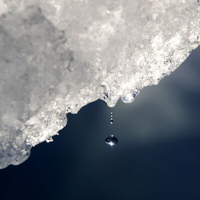 Kutuplardaki hava sıcaklıklarında "sıra dışı" artış!