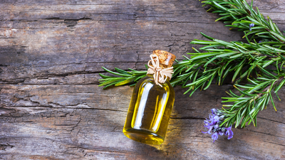 Biberiye yağının faydaları