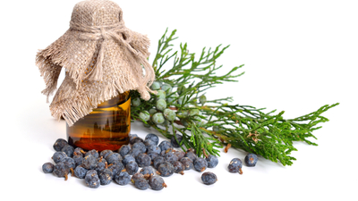 Ardıç yağının faydaları