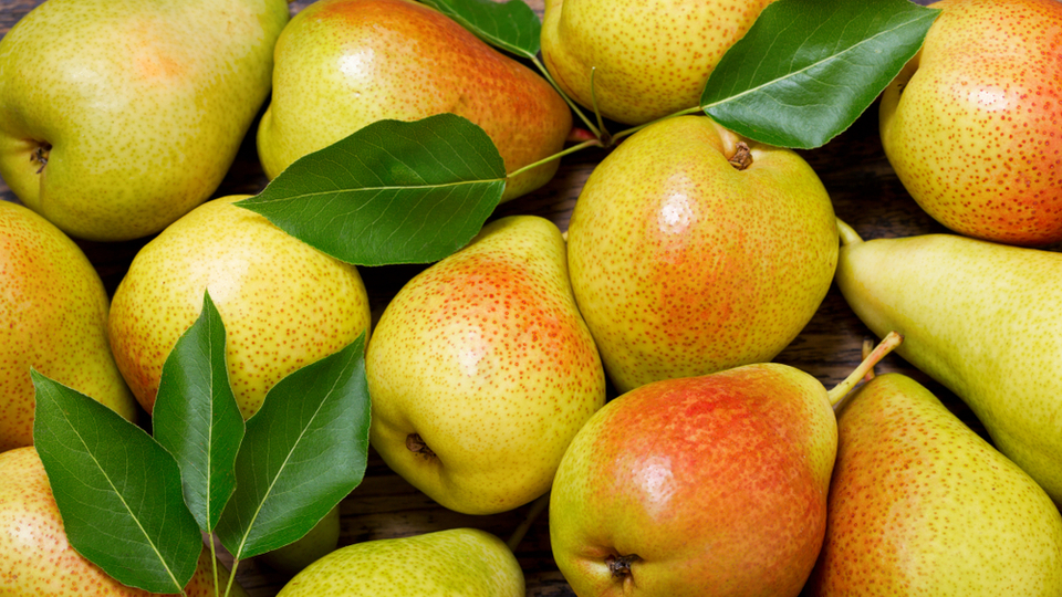 Armutun şaşırtan faydaları