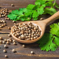 Kişnişin faydaları