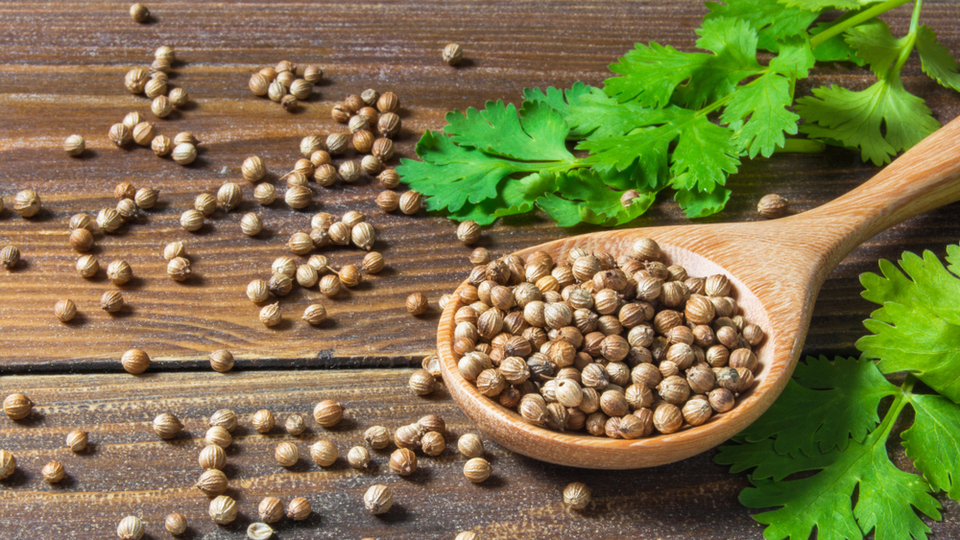 Kişnişin faydaları