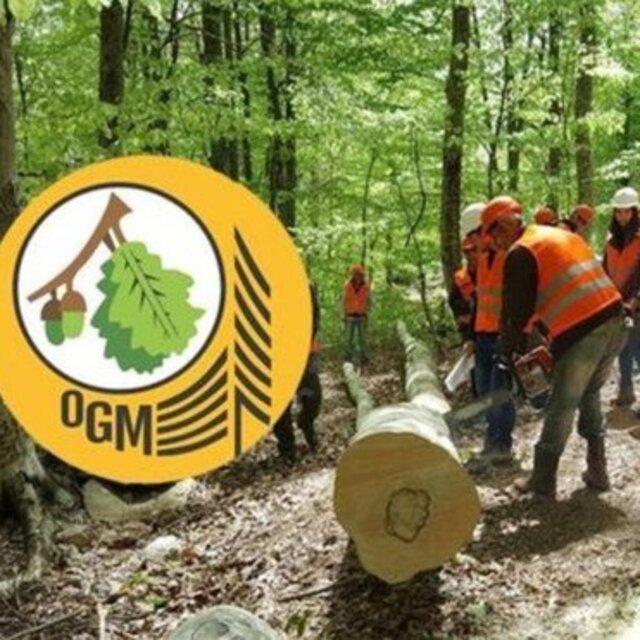 Kamuya 5 bin işçi alınıyor! İşte şartlar