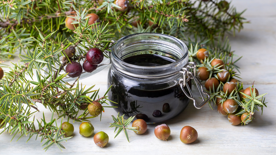 Andız pekmezinin faydaları