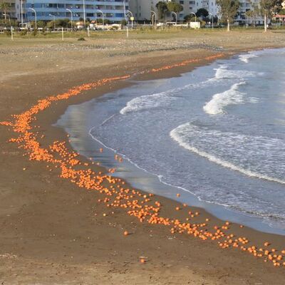 Sahile portakallar vurdu!