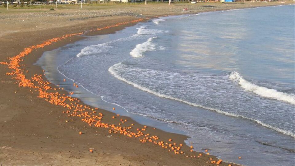 Sahile portakallar vurdu!