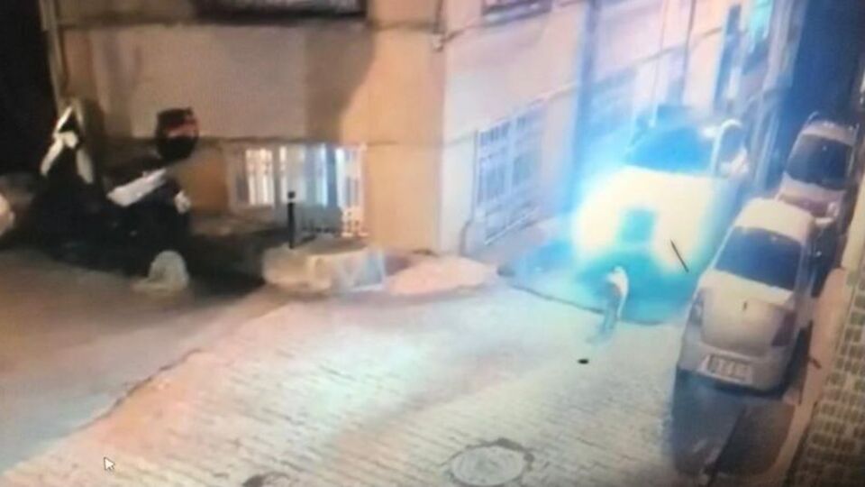 Otomobiliyle köpeğin üzerinden geçti