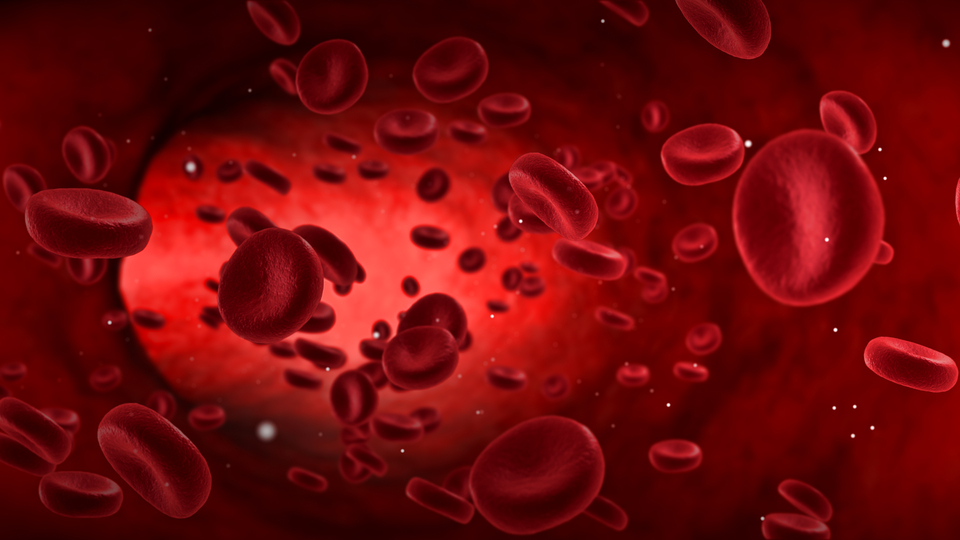 İnsan kanında ilk defa rastlandı!