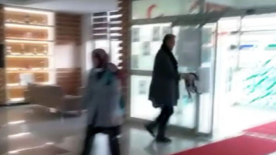 Kediye tekme attığı iddia edilen müdüre soruşturma