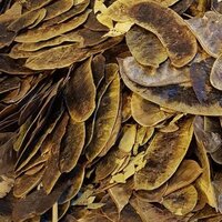 Açlık otunun faydaları