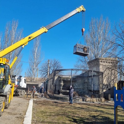 Filmleri aratmayan yolculuk! Aslan ve kurdu yanlarına aldılar