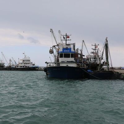 Karadenizli balıkçıları tedirgin eden gelişme