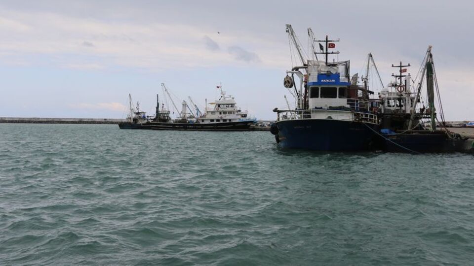 Karadenizli balıkçıları tedirgin eden gelişme