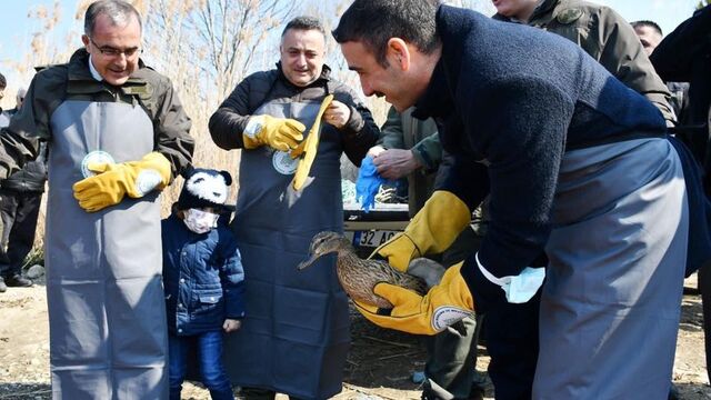 Onlar artık özgür