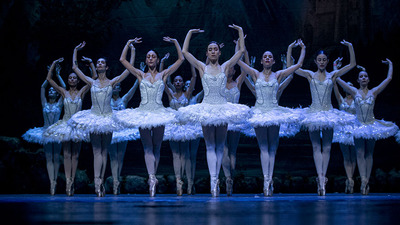 Şimdi Kuğu Gölü zamanı