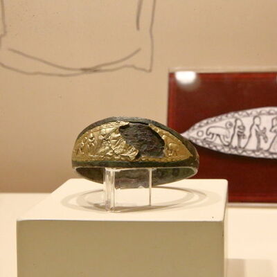 Çiftçi tarlasında bulmuştu... Altın işlemeli!